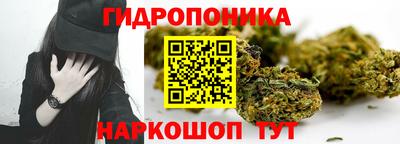 прущие грибы Тулун