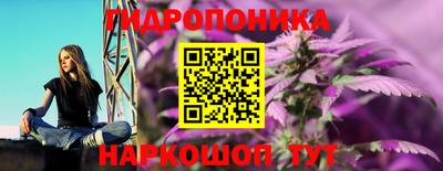прущие грибы Тулун