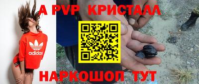 прущие грибы Тулун